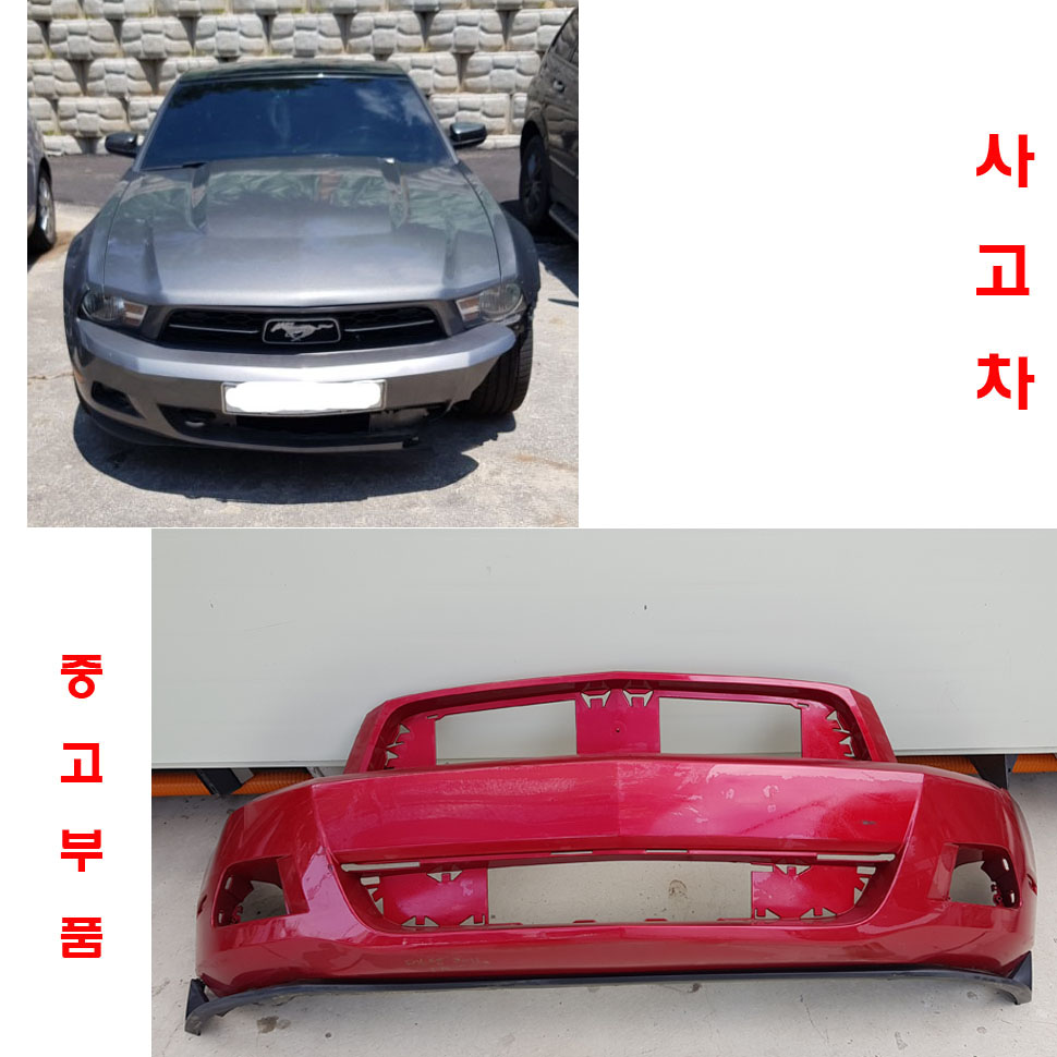 포드 머스탱 전범퍼피